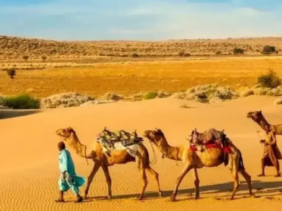 Jaisalmer Heritage & Desert Safari Tour Package