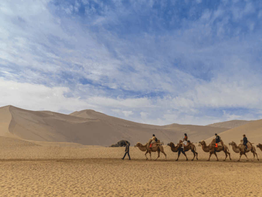 Jaisalmer Desert Delight Tour Package – Golden City Experience