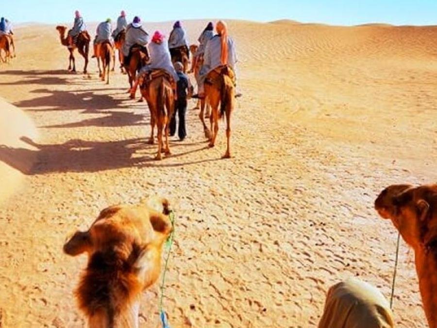 Heritage & Desert Rajasthan Tour