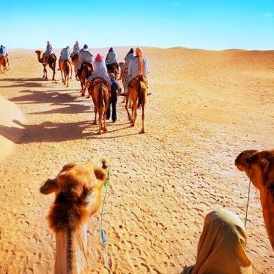 Heritage & Desert Rajasthan Tour